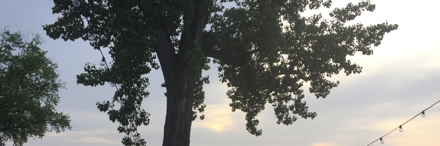 Keeley_C's profile banner image