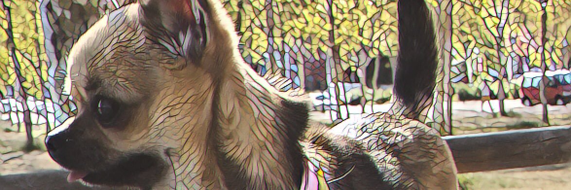 Dany_guinness's profile banner image