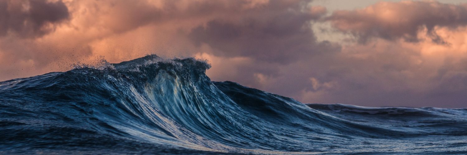 shrvn8704's profile banner image