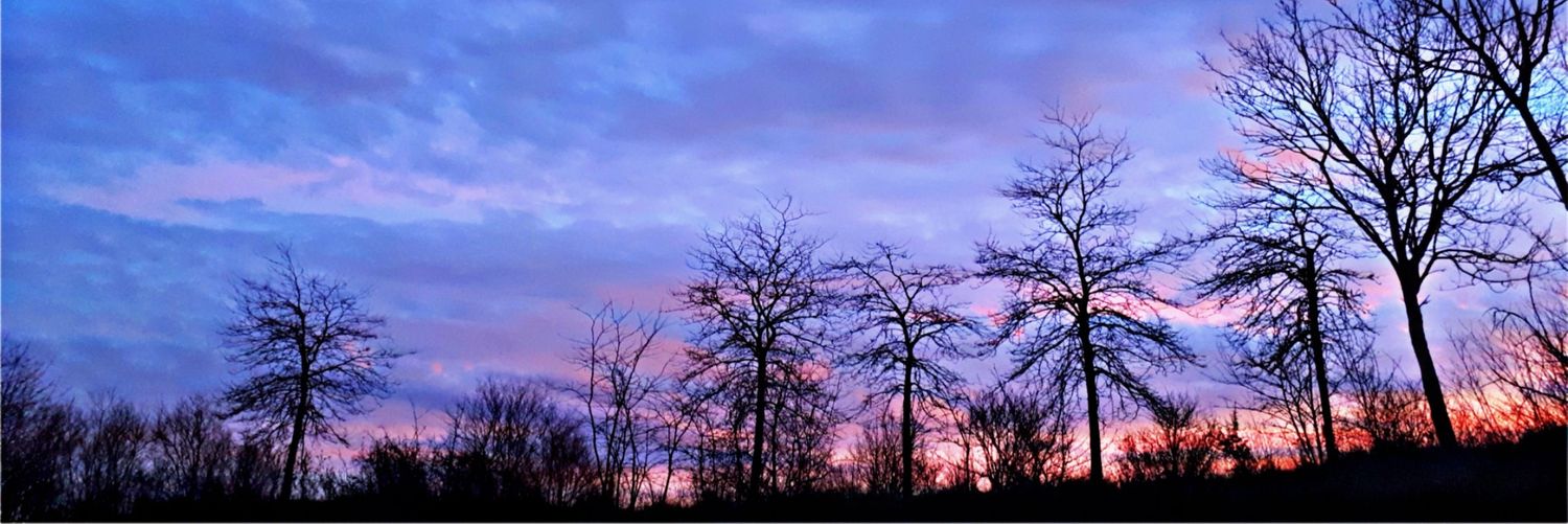 Bledart224's profile banner image