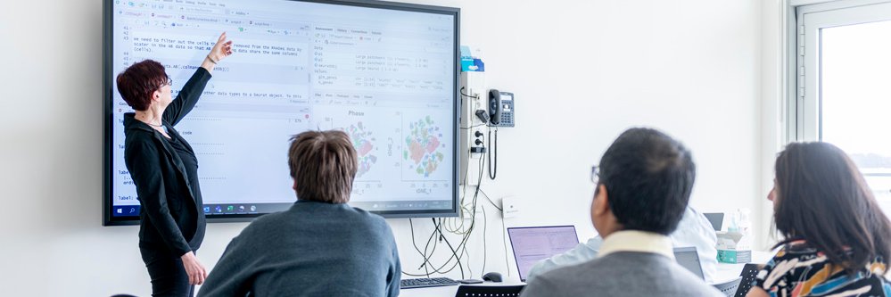 VIB Technology Training banner