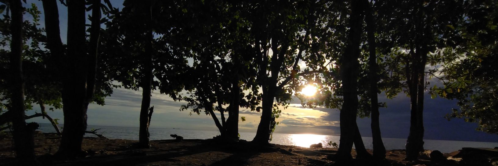sibga_'s profile banner image
