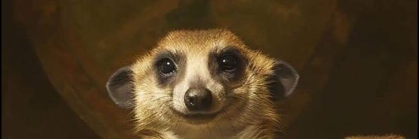 ayykus's profile banner image
