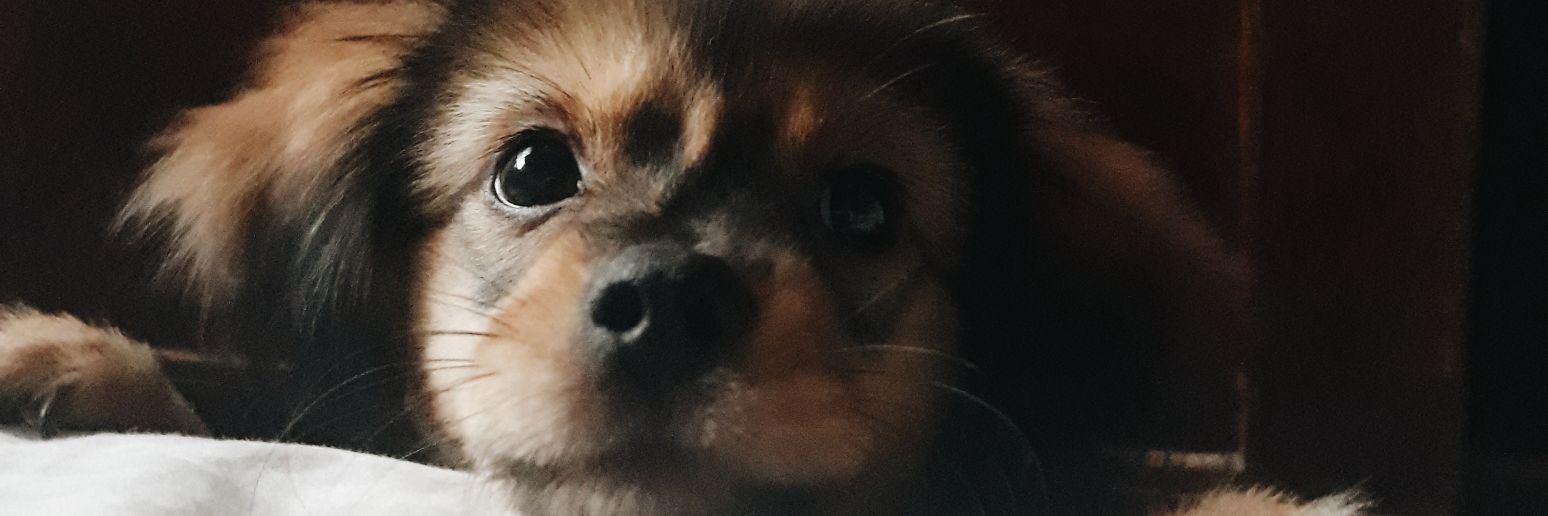 TUPASchneider's profile banner image