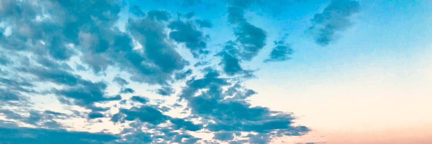 Michelle Stephenson banner