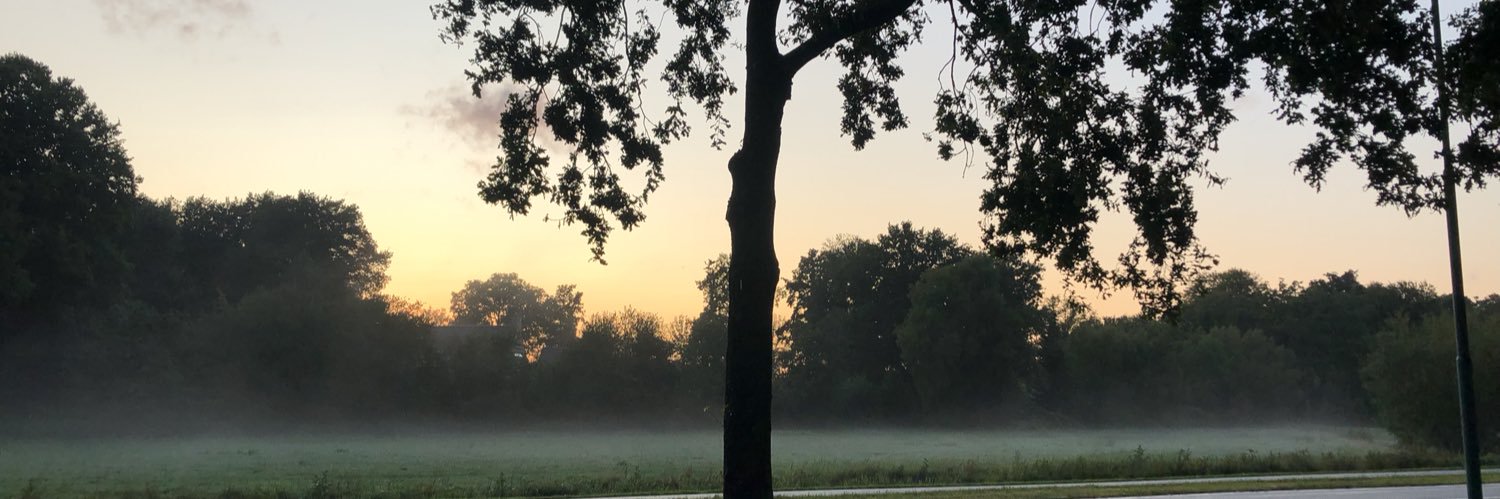 EllenWarnar's profile banner image