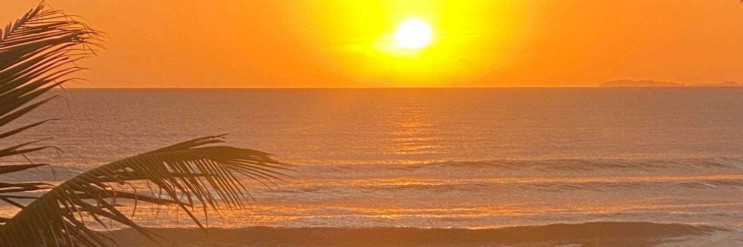 alygallo's profile banner image