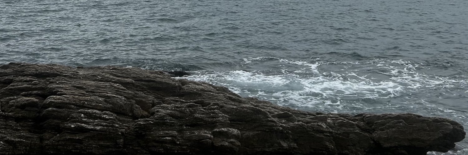 tarismaduds's profile banner image