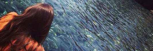 MariaMongeP's profile banner image