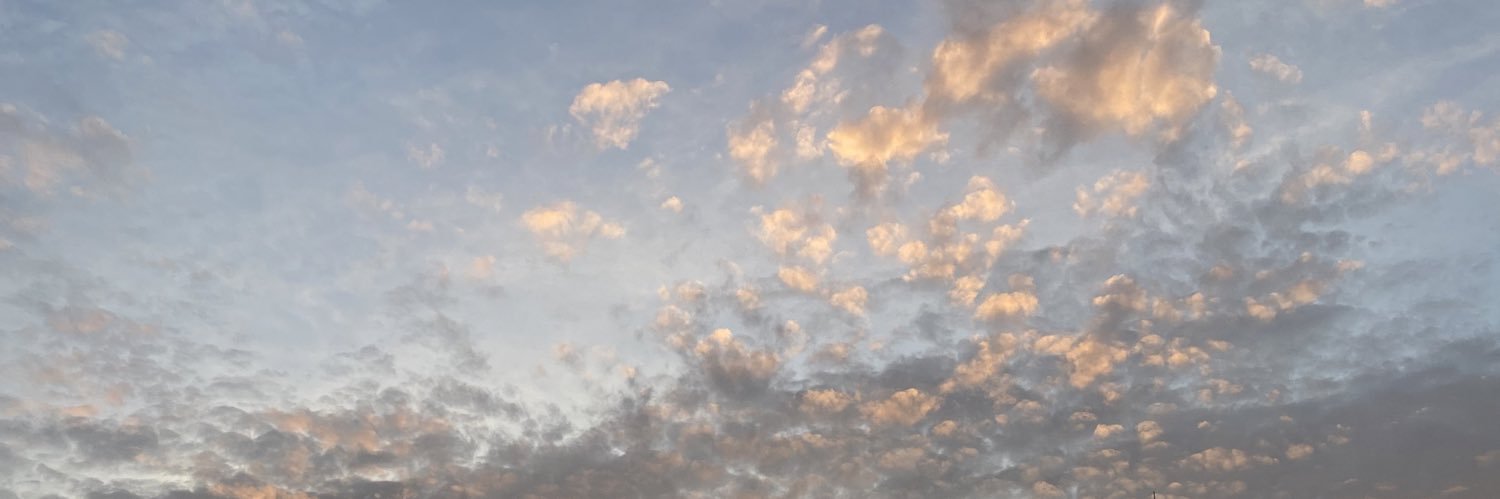 melanivdl's profile banner image