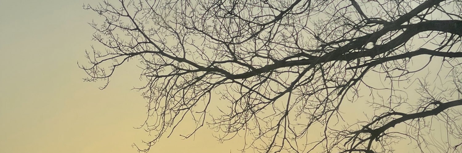 gabejeffus's profile banner image