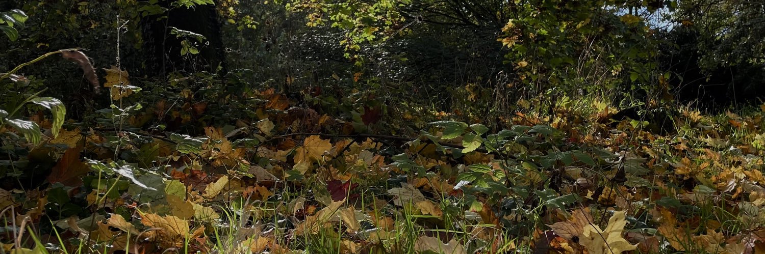 Hemmie_97's profile banner image