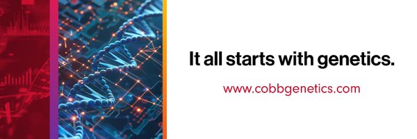 cobbvantress Profile Banner