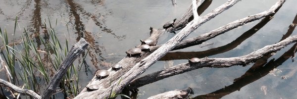 jerwatts Profile Banner