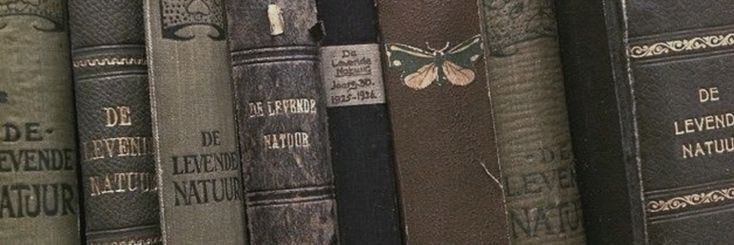 larysramoz's profile banner image