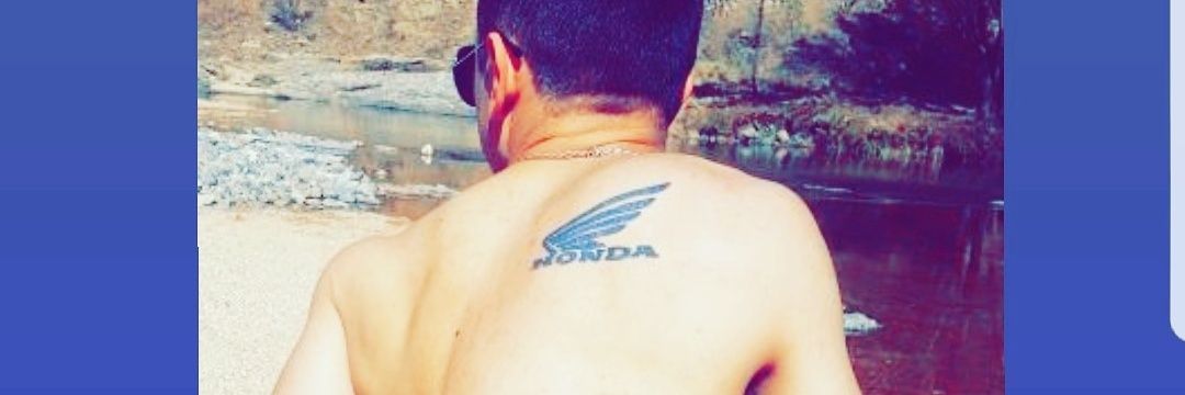 elcortadoverde's profile banner image
