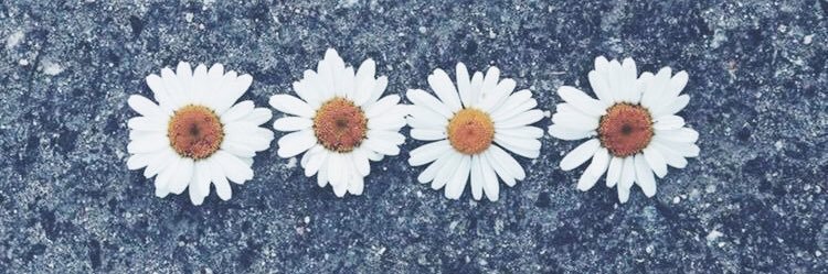 AlmudenaSuarez's profile banner image