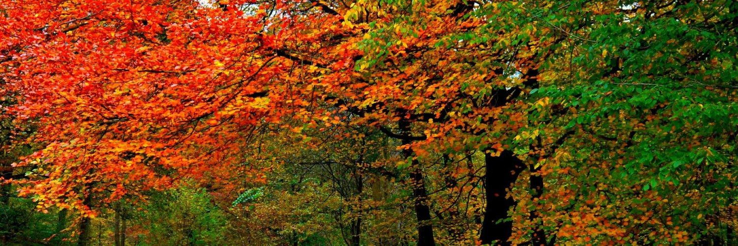 Stuart Skipworth banner