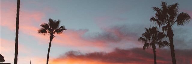 taysue__'s profile banner image