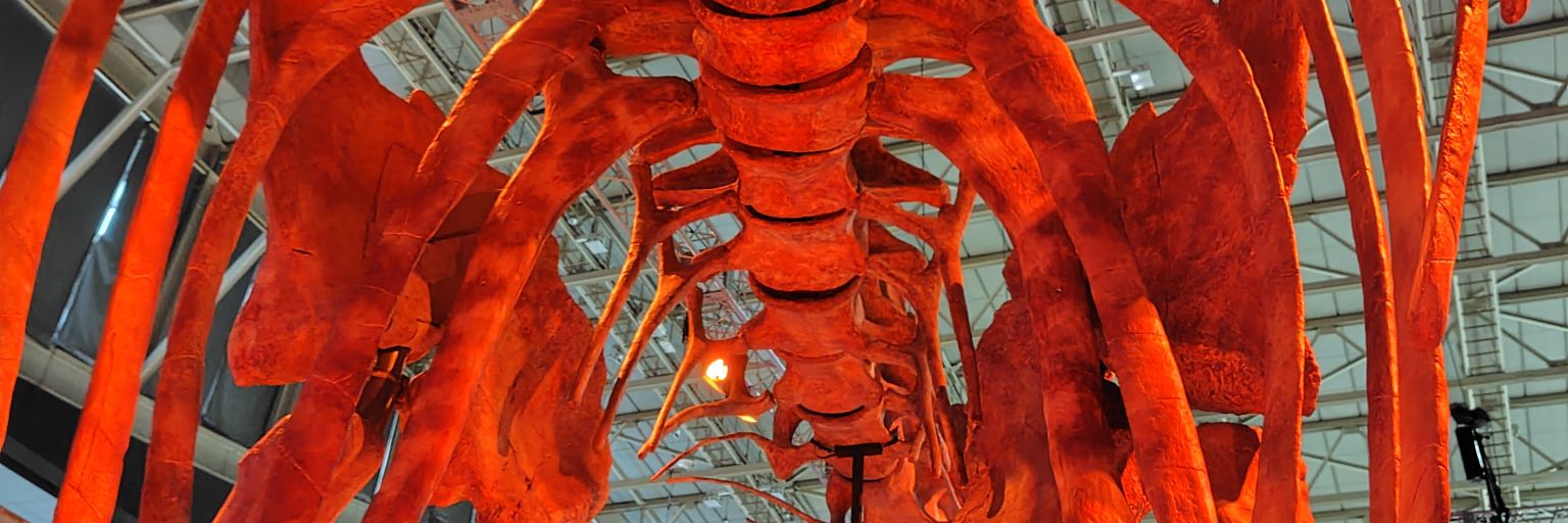 gsks1010's profile banner image