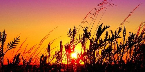 OutdoorLife1o1's profile banner image
