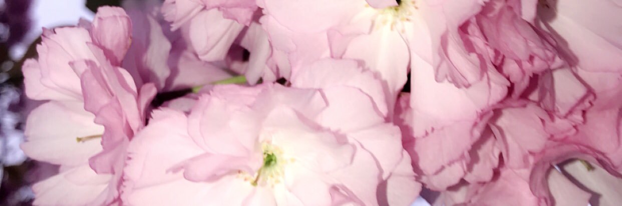 _jst12's profile banner image