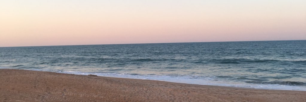 Goopbark's profile banner image