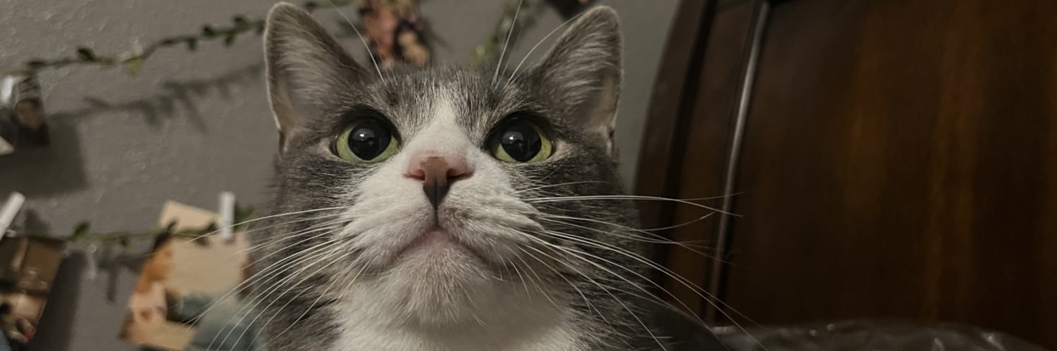melanieenic's profile banner image