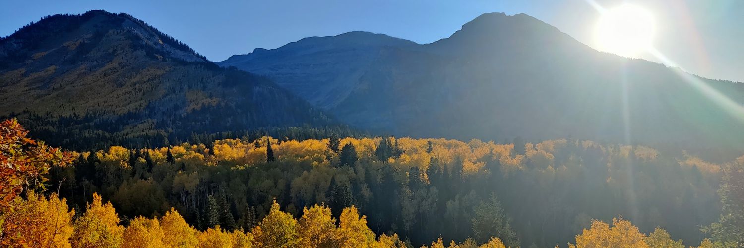 itsberkleyc's profile banner image