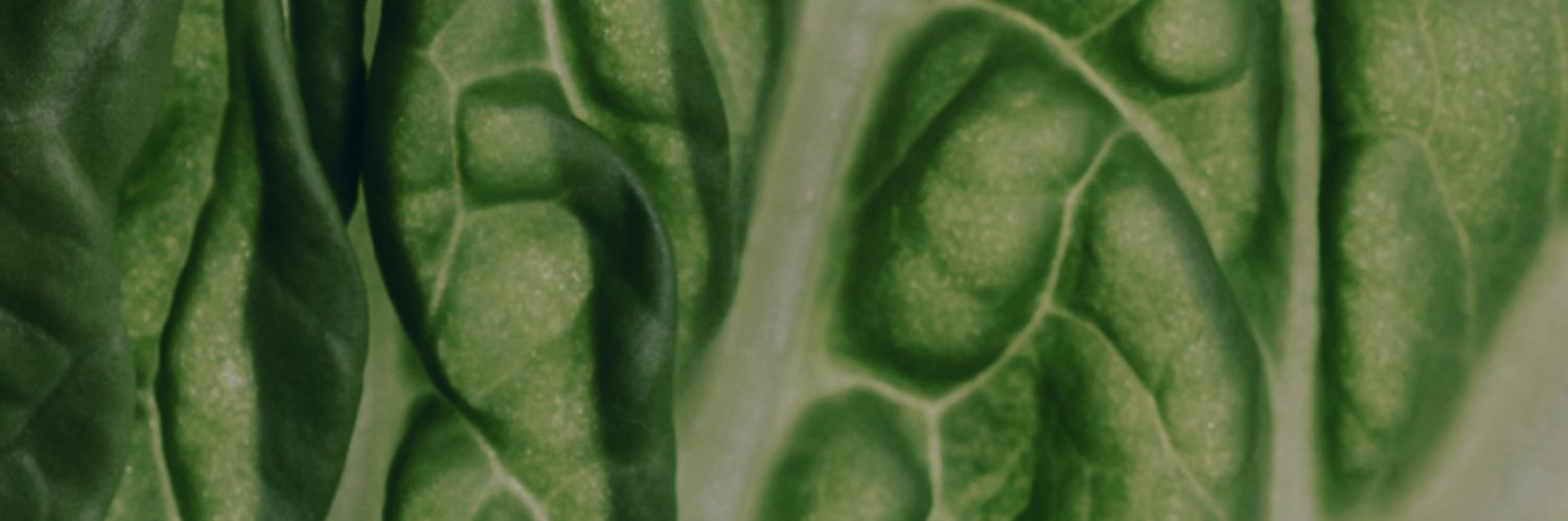 bodilsiden's profile banner image