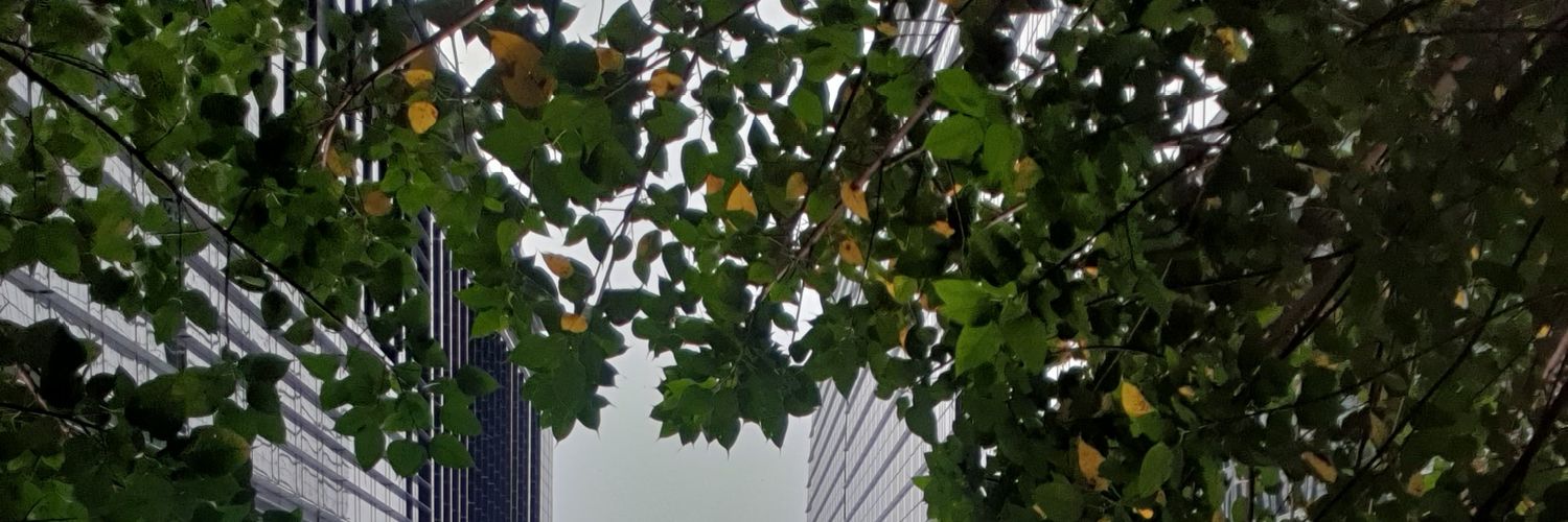 savirav's profile banner image