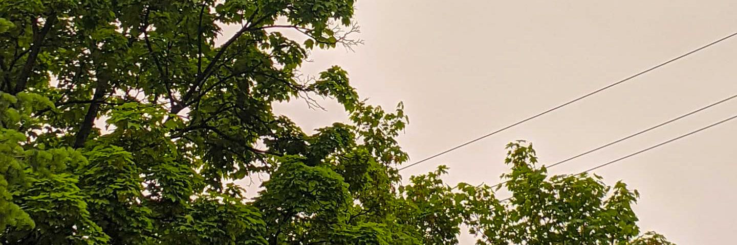 astrpt's profile banner image