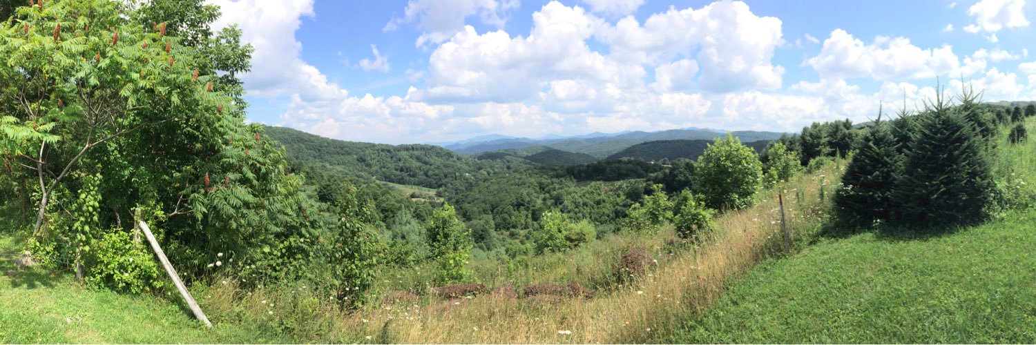 James Daugherty banner