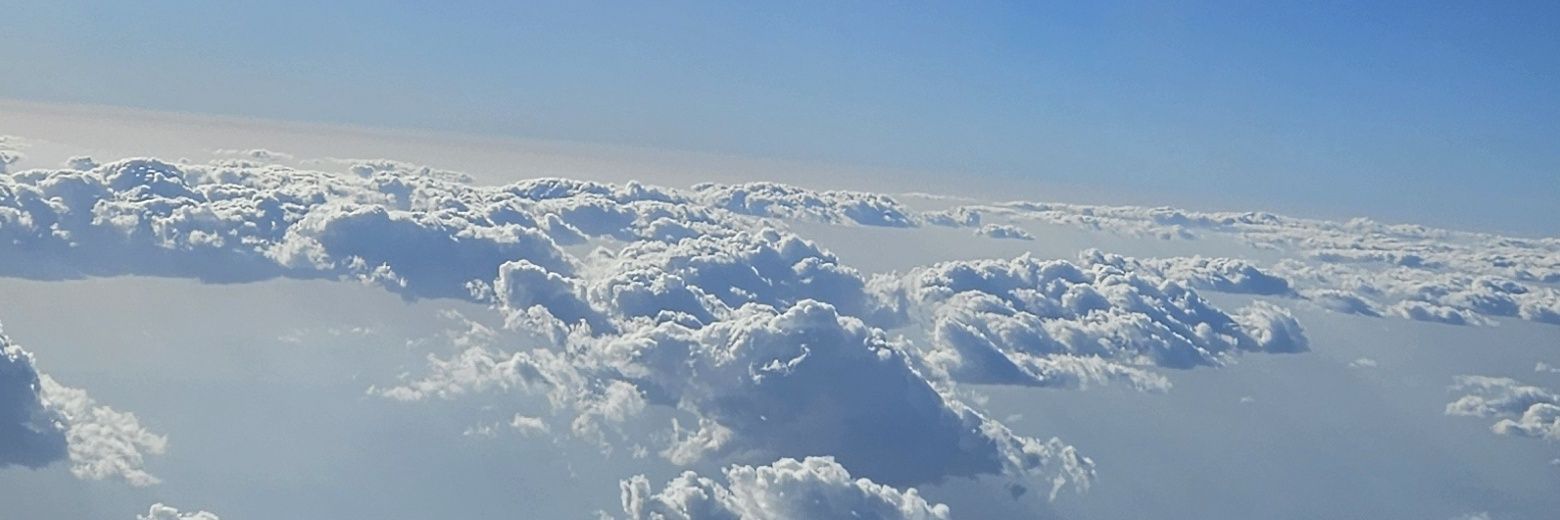 alfifiest's profile banner image