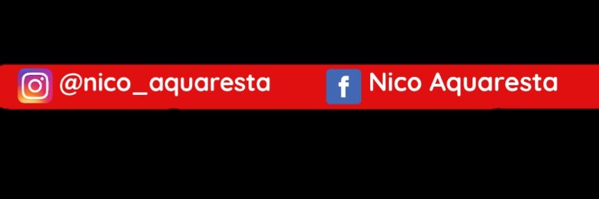 NAquaresta's profile banner image