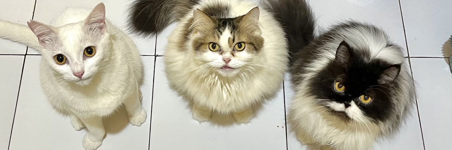 oleboutme's profile banner image