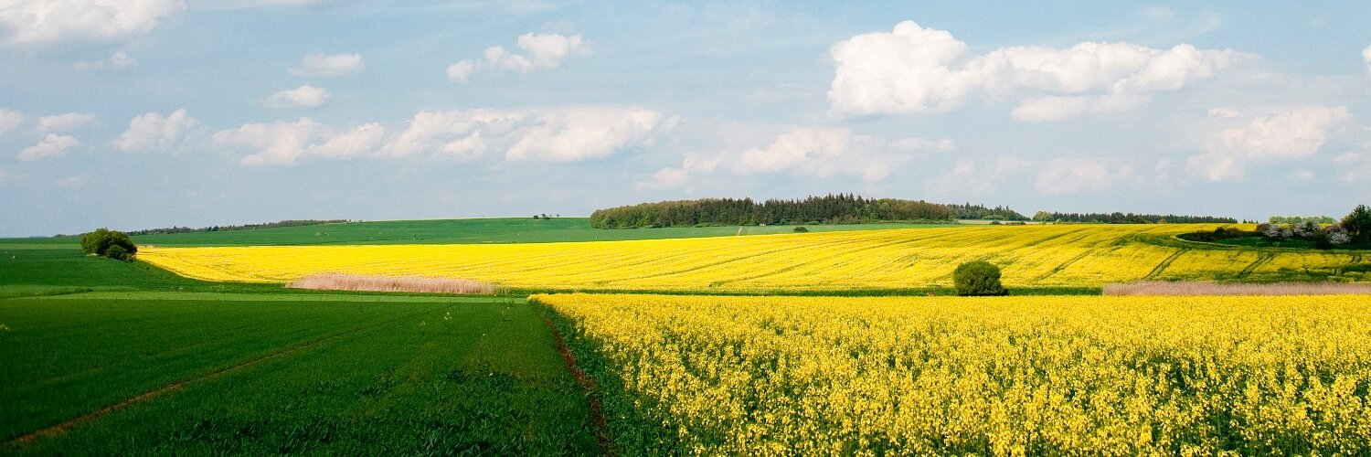 VESTJYSK's profile banner image