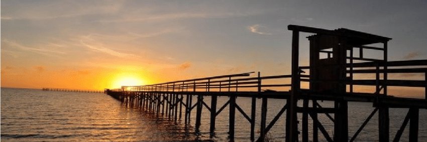 CLamego1's profile banner image