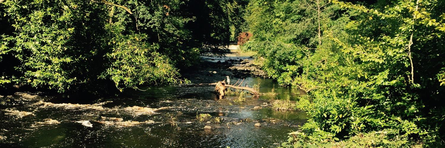 Sean Mac Liam (JJ) banner