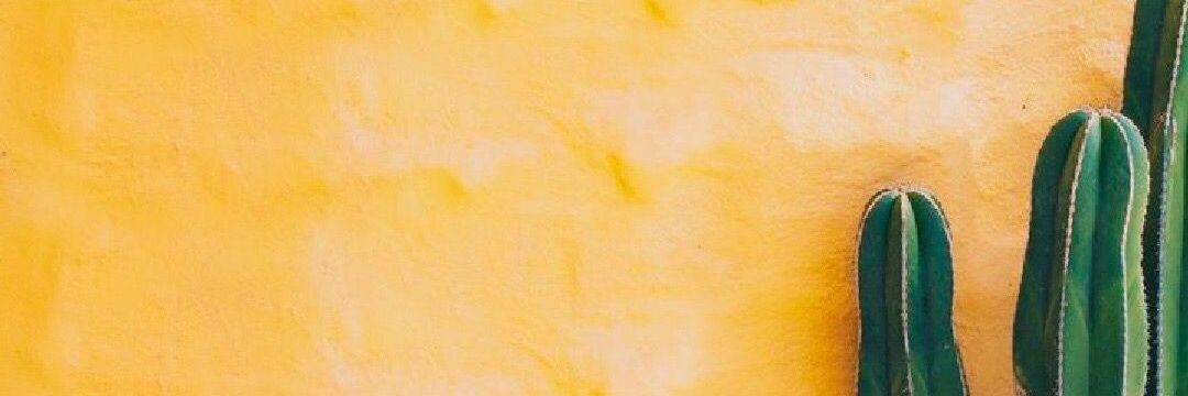 cassandrajo96's profile banner image