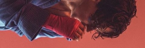 rosesxtris's profile banner image
