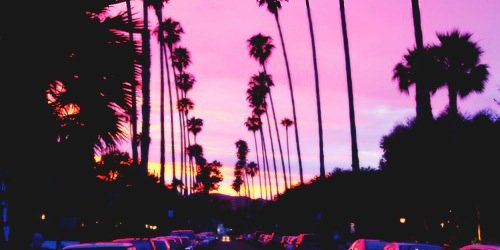 PriscilaHernCF's profile banner image