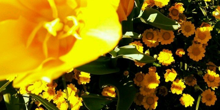KayaBertug's profile banner image