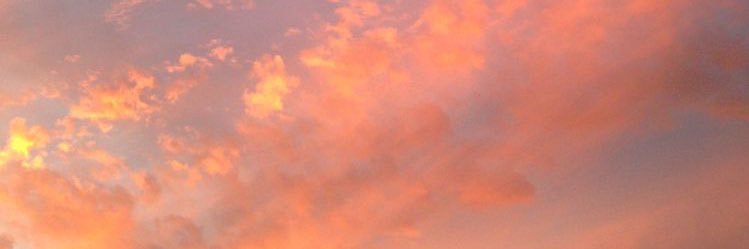 kelsmccarthyy's profile banner image