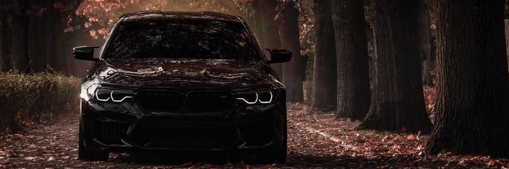 @AlexandrBimmer banner