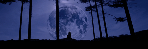 StadiumxRus's profile banner image