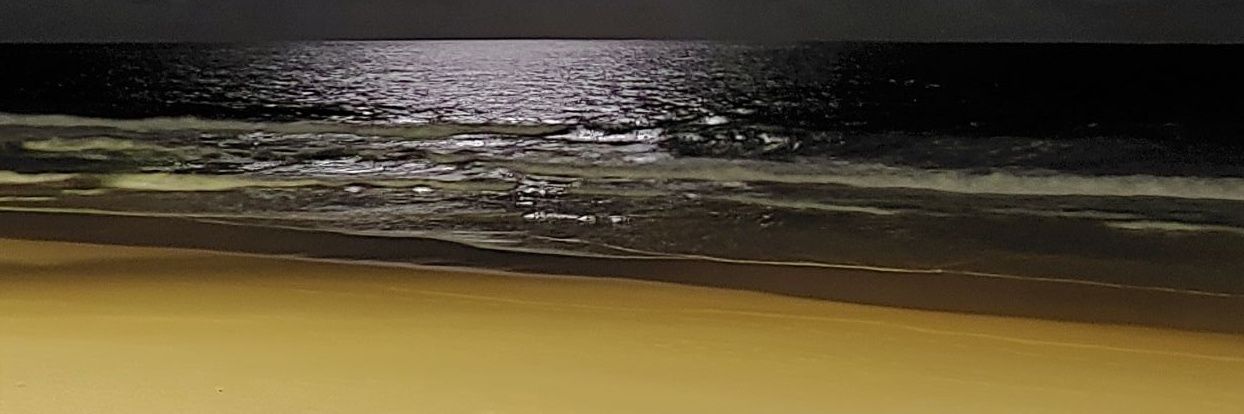 cunhalip's profile banner image