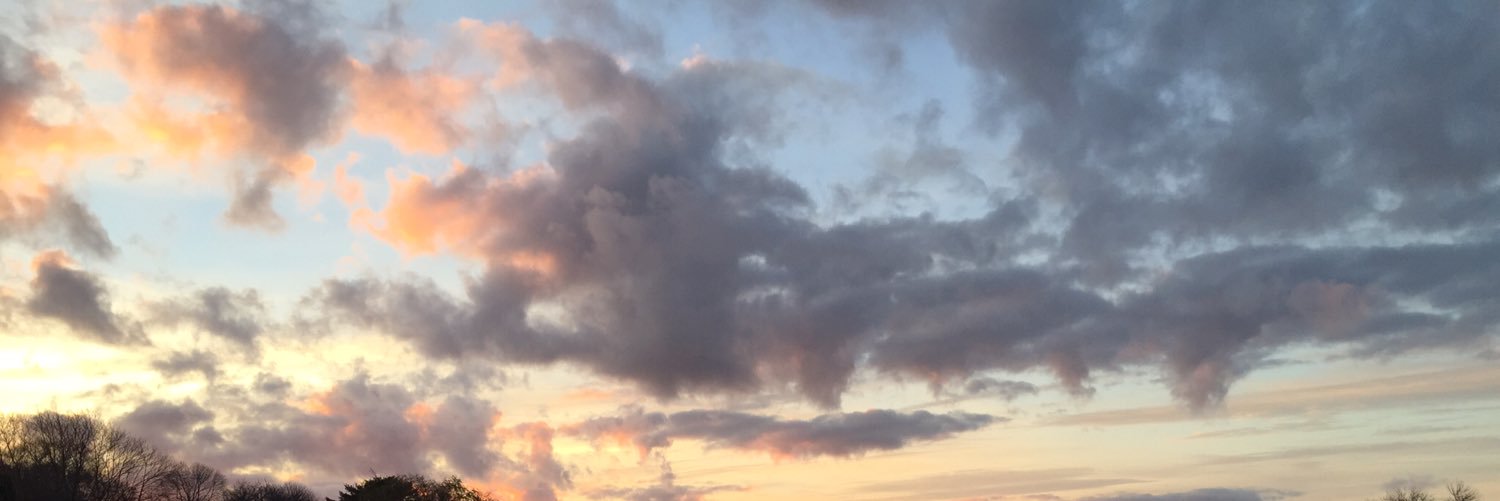 Fernanda Niven banner