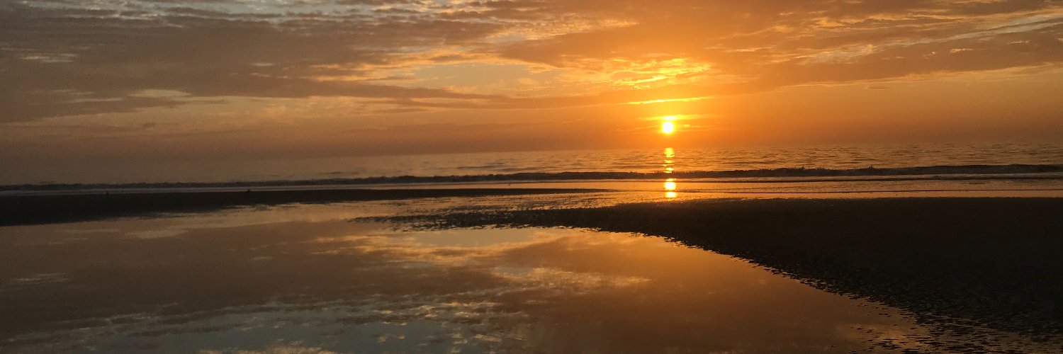 heidigardner's profile banner image