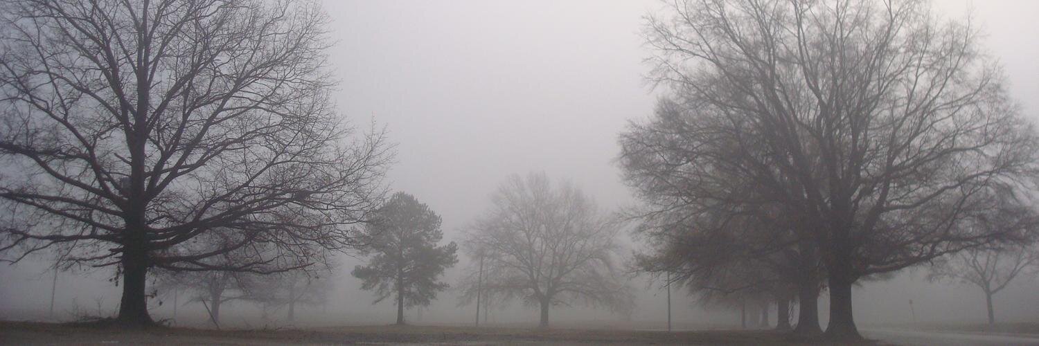 Fantasma_Mirth's profile banner image